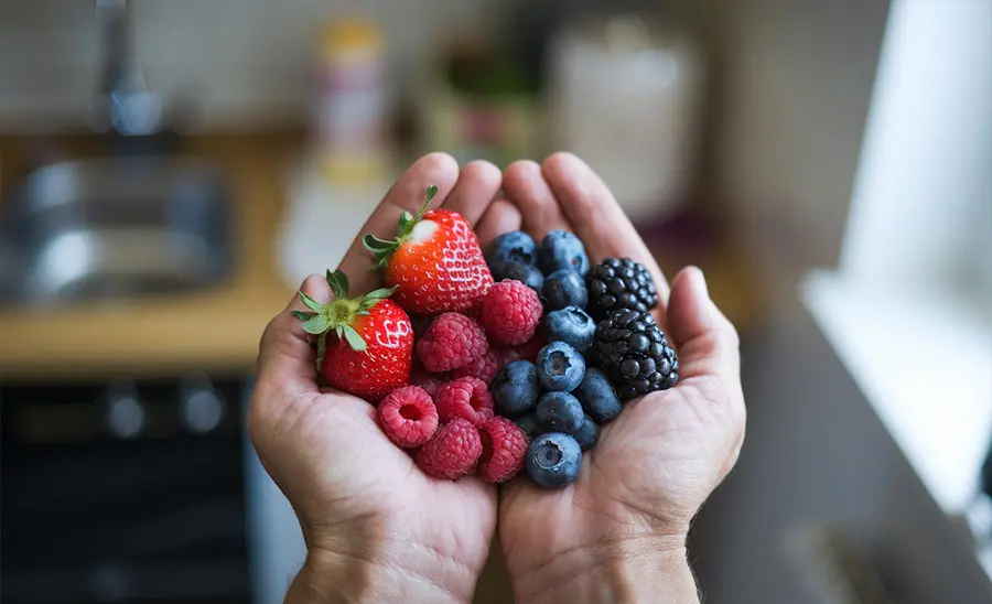 Les polyphénols : les joyaux antioxydants du thé EVANS’T